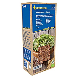 Kiepenkerl Profi-Line Zelenjavna semena Kreša (Lepidium sativum, Čas žetve: Januar)