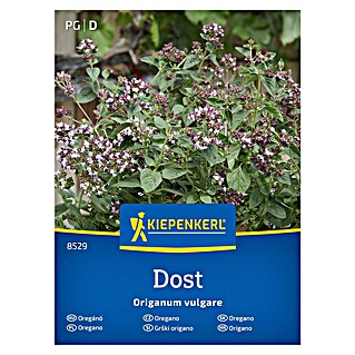 Kiepenkerl Zeliščna semena Origano (Origanum vulgare, Čas setve: Marec, Čas žetve: Julij)