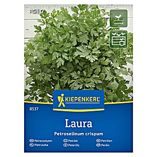 Kiepenkerl Zelenjavna semena Peteršilj Laura (Petroselinum crispum, Čas žetve: Junij)