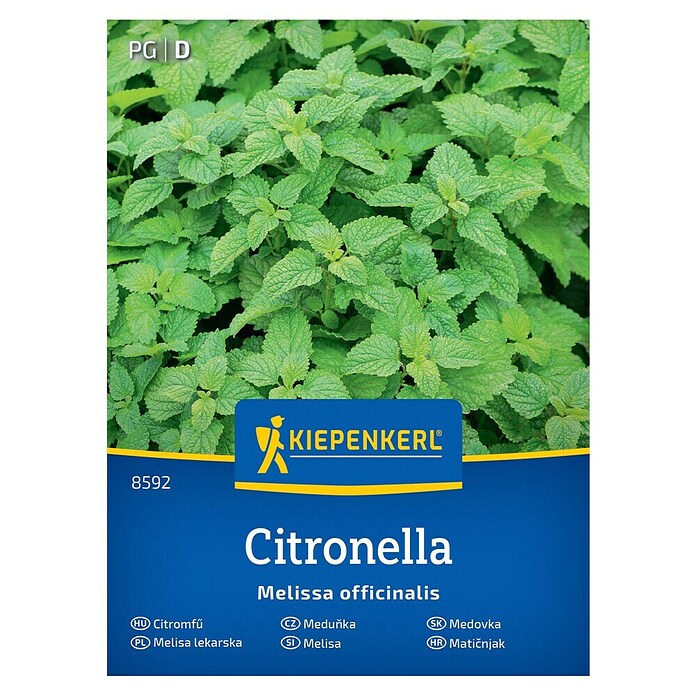 Kiepenkerl Zeliščna semena Navadna melisa Citronella  (Melissa officinalis, Čas setve: Marec, Čas žetve: Maj) | 8127 - Feinsämereien in PG Marke | IBYA - Sämereien | IBY - Sämereien | IB - Grünpflanzen/Sämereien | I - Stadtgarten | BAUHAUS
