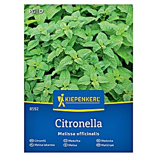 Kiepenkerl Zeliščna semena Navadna melisa Citronella (Melissa officinalis, Čas setve: Marec, Čas žetve: Maj)