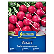 Kiepenkerl Zelenjavna semena Redkvica Saxa 3  (Raphanus sativus var. sativus, Čas žetve: Marec) | 8127 - Feinsämereien in PG Marke | IBYA - Sämereien | IBY - Sämereien | IB - Grünpflanzen/Sämereien | I - Stadtgarten | BAUHAUS