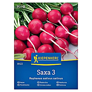Kiepenkerl Zelenjavna semena Redkvica Saxa 3 (Raphanus sativus var. sativus, Čas žetve: Marec)