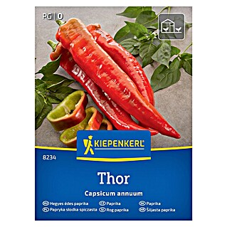 Kiepenkerl Zelenjavna semena Paprika Thor F1 (Capsicum annuum, Čas žetve: Avgust)