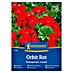 Kiepenkerl Cvetlična semena Pelargonija Orbit 