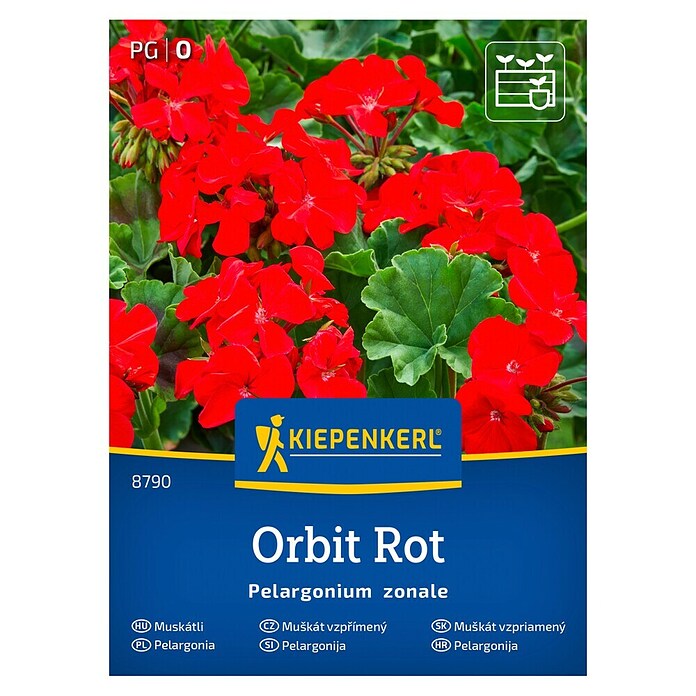 Kiepenkerl Cvetlična semena Pelargonija Orbit  (Pelargonium zonale, Rdeča) | 8127 - Feinsämereien in PG Marke | IBYA - Sämereien | IBY - Sämereien | IB - Grünpflanzen/Sämereien | I - Stadtgarten | BAUHAUS