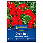 Kiepenkerl Cvetlična semena Pelargonija Orbit  (Pelargonium zonale, Rdeča) | 8127 - Feinsämereien in PG Marke | IBYA - Sämereien | IBY - Sämereien | IB - Grünpflanzen/Sämereien | I - Stadtgarten | BAUHAUS