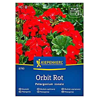 Kiepenkerl Cvetlična semena Pelargonija Orbit (Pelargonium zonale, Rdeča)