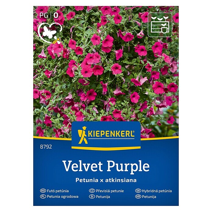 Kiepenkerl Cvetlična semena Petunija Velvet Purple  (Petunia x atkinsiana, Vijolična) | 8127 - Feinsämereien in PG Marke | IBYA - Sämereien | IBY - Sämereien | IB - Grünpflanzen/Sämereien | I - Stadtgarten | BAUHAUS
