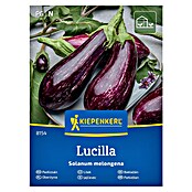 Kiepenkerl Zelenjavna semena Jajčevec Lucilla  (Solanum melongena, Čas žetve: Julij) | 8127 - Feinsämereien in PG Marke | IBYA - Sämereien | IBY - Sämereien | IB - Grünpflanzen/Sämereien | I - Stadtgarten | BAUHAUS