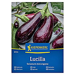 Kiepenkerl Zelenjavna semena Jajčevec Lucilla (Solanum melongena, Čas žetve: Julij)
