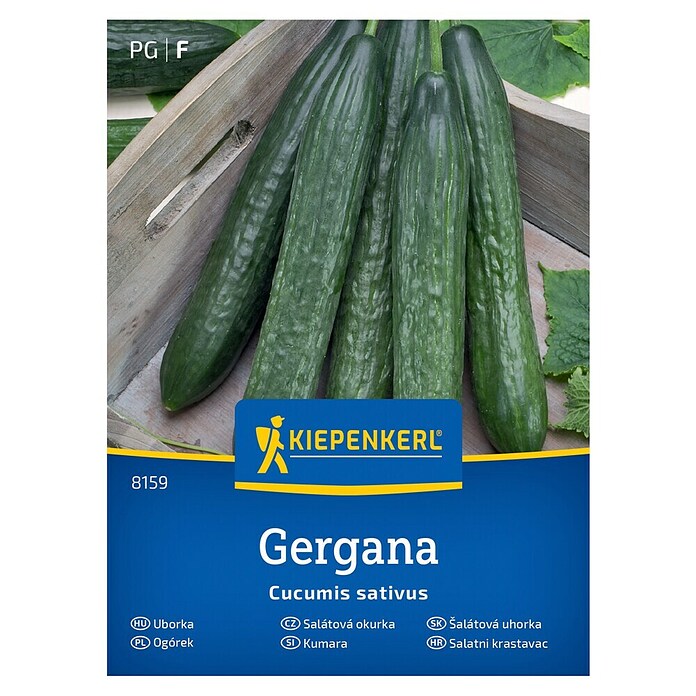 Kiepenkerl Zelenjavna semena Kumara Gergana  (Cucumis sativa, Čas žetve: Julij) | 8127 - Feinsämereien in PG Marke | IBYA - Sämereien | IBY - Sämereien | IB - Grünpflanzen/Sämereien | I - Stadtgarten | BAUHAUS