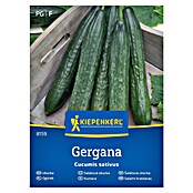 Kiepenkerl Zelenjavna semena Kumara Gergana  (Cucumis sativa, Čas žetve: Julij) | 8127 - Feinsämereien in PG Marke | IBYA - Sämereien | IBY - Sämereien | IB - Grünpflanzen/Sämereien | I - Stadtgarten | BAUHAUS