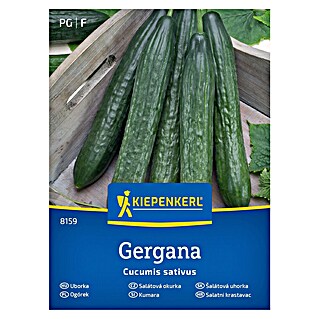 Kiepenkerl Zelenjavna semena Kumara Gergana (Cucumis sativa, Čas žetve: Julij)