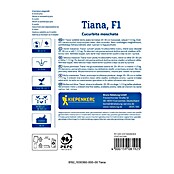 Kiepenkerl Zelenjavna semena Buča Tiana F1  (Cucurbita moschata, Čas žetve: September) | 8127 - Feinsämereien in PG Marke | IBYA - Sämereien | IBY - Sämereien | IB - Grünpflanzen/Sämereien | I - Stadtgarten | BAUHAUS