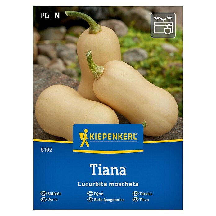 Kiepenkerl Zelenjavna semena Buča Tiana F1  (Cucurbita moschata, Čas žetve: September) | 8127 - Feinsämereien in PG Marke | IBYA - Sämereien | IBY - Sämereien | IB - Grünpflanzen/Sämereien | I - Stadtgarten | BAUHAUS