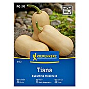 Kiepenkerl Zelenjavna semena Buča Tiana F1  (Cucurbita moschata, Čas žetve: September) | 8127 - Feinsämereien in PG Marke | IBYA - Sämereien | IBY - Sämereien | IB - Grünpflanzen/Sämereien | I - Stadtgarten | BAUHAUS