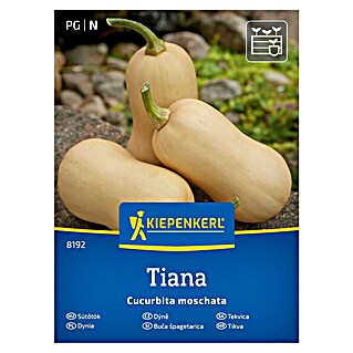 Kiepenkerl Zelenjavna semena Buča Tiana F1 (Cucurbita moschata, Čas žetve: September)