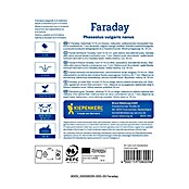 Kiepenkerl Zelenjavna semena Fižol Faraday  (Phaseolus vulgaris, Čas žetve: Januar) | 8127 - Feinsämereien in PG Marke | IBYA - Sämereien | IBY - Sämereien | IB - Grünpflanzen/Sämereien | I - Stadtgarten | BAUHAUS
