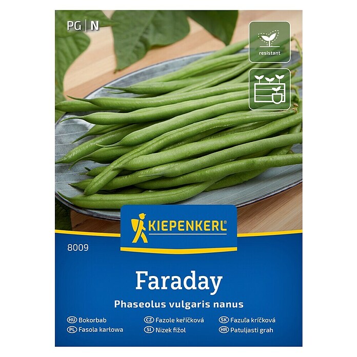 Kiepenkerl Zelenjavna semena Fižol Faraday  (Phaseolus vulgaris, Čas žetve: Januar) | 8127 - Feinsämereien in PG Marke | IBYA - Sämereien | IBY - Sämereien | IB - Grünpflanzen/Sämereien | I - Stadtgarten | BAUHAUS