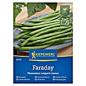 Kiepenkerl Zelenjavna semena Fižol Faraday  (Phaseolus vulgaris, Čas žetve: Januar) | 8127 - Feinsämereien in PG Marke | IBYA - Sämereien | IBY - Sämereien | IB - Grünpflanzen/Sämereien | I - Stadtgarten | BAUHAUS