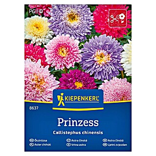 Kiepenkerl Cvetlična semena Vrtna astra Prinzess (Callistephus chinensis, Raznobarvna)