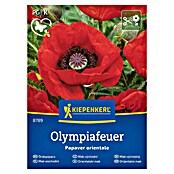 Kiepenkerl Cvetlična semena Turški mak Olympiafeuer  (Papaver orientale, Rdeča) | 8127 - Feinsämereien in PG Marke | IBYA - Sämereien | IBY - Sämereien | IB - Grünpflanzen/Sämereien | I - Stadtgarten | BAUHAUS