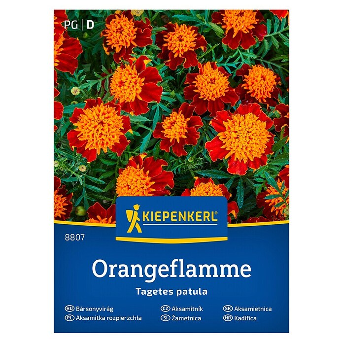 Kiepenkerl Cvetlična semena Žametnica Orangeflamme  (Tagetes patula, Oranžnordeča) | 8127 - Feinsämereien in PG Marke | IBYA - Sämereien | IBY - Sämereien | IB - Grünpflanzen/Sämereien | I - Stadtgarten | BAUHAUS