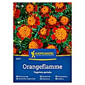 Kiepenkerl Cvetlična semena Žametnica Orangeflamme  (Tagetes patula, Oranžnordeča) | 8127 - Feinsämereien in PG Marke | IBYA - Sämereien | IBY - Sämereien | IB - Grünpflanzen/Sämereien | I - Stadtgarten | BAUHAUS