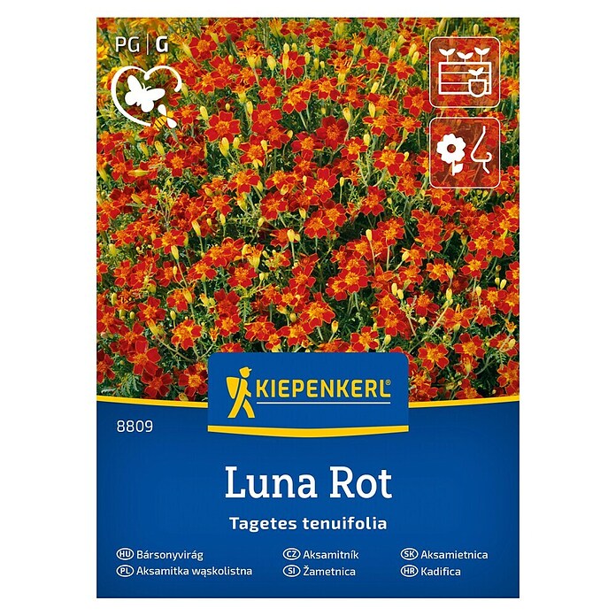 Kiepenkerl Cvetlična semena Tenkolistna žametnica Luna Rot  (Tagetes tenuifolia, Rdeča) | 8127 - Feinsämereien in PG Marke | IBYA - Sämereien | IBY - Sämereien | IB - Grünpflanzen/Sämereien | I - Stadtgarten | BAUHAUS