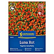 Kiepenkerl Cvetlična semena Tenkolistna žametnica Luna Rot  (Tagetes tenuifolia, Rdeča) | 8127 - Feinsämereien in PG Marke | IBYA - Sämereien | IBY - Sämereien | IB - Grünpflanzen/Sämereien | I - Stadtgarten | BAUHAUS