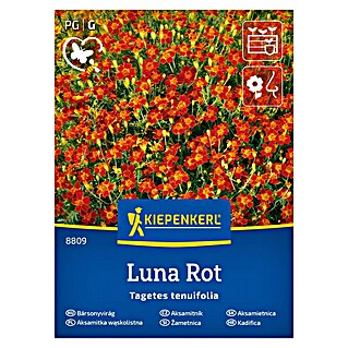 Kiepenkerl Cvetlična semena Tenkolistna žametnica Luna Rot (Tagetes tenuifolia, Rdeča)
