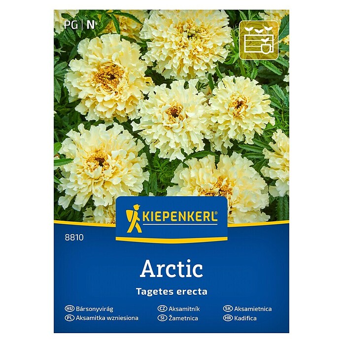 Kiepenkerl Cvetlična semena Pokončna žametnica Arctic  (Tagetes erecta, Rumena) | 8127 - Feinsämereien in PG Marke | IBYA - Sämereien | IBY - Sämereien | IB - Grünpflanzen/Sämereien | I - Stadtgarten | BAUHAUS