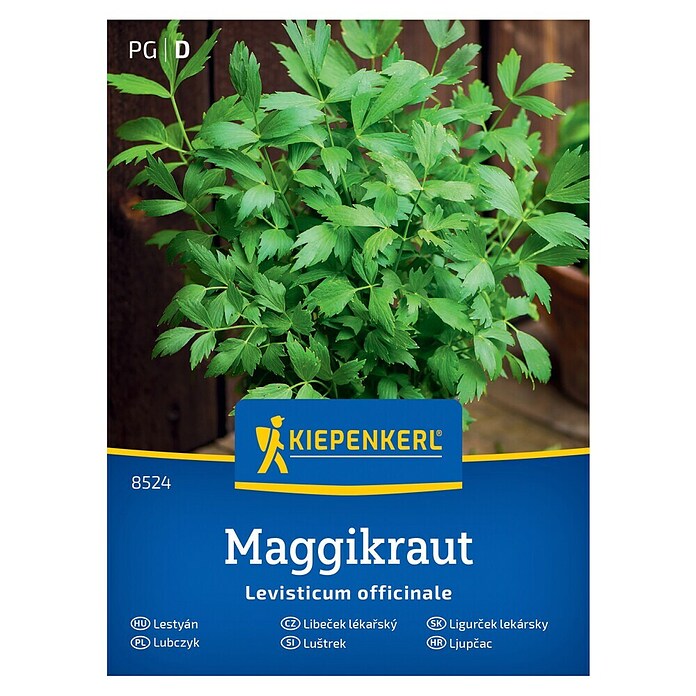 Kiepenkerl Zeliščna semena Luštrek  (Levisticum officinale, Čas setve: Marec, Čas žetve: Maj) | 8127 - Feinsämereien in PG Marke | IBYA - Sämereien | IBY - Sämereien | IB - Grünpflanzen/Sämereien | I - Stadtgarten | BAUHAUS