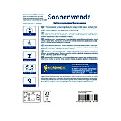 Kiepenkerl Cvetlična semena Vanilijevka Sonnenwende  (Heliotropium arborescens, Vijolična) | 8127 - Feinsämereien in PG Marke | IBYA - Sämereien | IBY - Sämereien | IB - Grünpflanzen/Sämereien | I - Stadtgarten | BAUHAUS