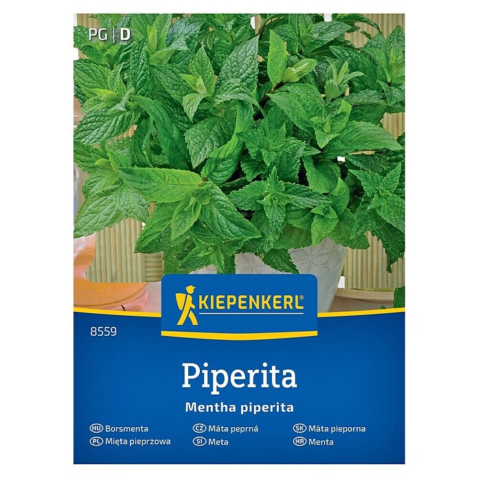 Kiepenkerl Zeliščna semena Poprova meta  (Mentha x piperita, Čas setve: Marec, Čas žetve: Maj) | 8127 - Feinsämereien in PG Marke | IBYA - Sämereien | IBY - Sämereien | IB - Grünpflanzen/Sämereien | I - Stadtgarten | BAUHAUS