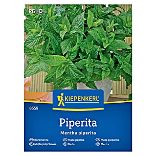 Kiepenkerl Zeliščna semena Poprova meta (Mentha x piperita, Čas setve: Marec, Čas žetve: Maj)