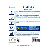 Kiepenkerl Mešanica zelenjavnih semen Solata Vital Mix  (Lactuca sativa, Čas žetve: April) | 8127 - Feinsämereien in PG Marke | IBYA - Sämereien | IBY - Sämereien | IB - Grünpflanzen/Sämereien | I - Stadtgarten | BAUHAUS