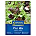 Kiepenkerl Mešanica zelenjavnih semen Solata Vital Mix 