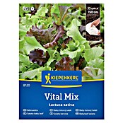 Kiepenkerl Mešanica zelenjavnih semen Solata Vital Mix  (Lactuca sativa, Čas žetve: April) | 8127 - Feinsämereien in PG Marke | IBYA - Sämereien | IBY - Sämereien | IB - Grünpflanzen/Sämereien | I - Stadtgarten | BAUHAUS