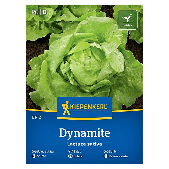 Kiepenkerl Zelenjavna semena Solata Dynamite  (Lactuca sativa, Čas žetve: Maj) | 8127 - Feinsämereien in PG Marke | IBYA - Sämereien | IBY - Sämereien | IB - Grünpflanzen/Sämereien | I - Stadtgarten | BAUHAUS