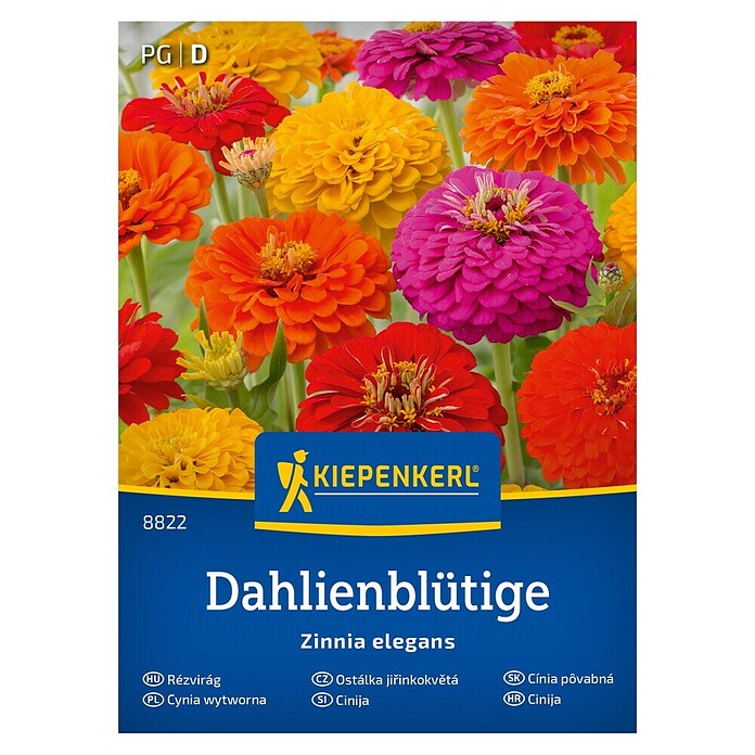 Kiepenkerl Cvetlična semena Cinija Dahlienblütige  (Zinnia elegans, Večbarvna) | 8127 - Feinsämereien in PG Marke | IBYA - Sämereien | IBY - Sämereien | IB - Grünpflanzen/Sämereien | I - Stadtgarten | BAUHAUS