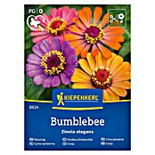Kiepenkerl Mešana cvetlična semena Cinija Bumblebee  (Zinnia elegans, Večbarvna) | 8127 - Feinsämereien in PG Marke | IBYA - Sämereien | IBY - Sämereien | IB - Grünpflanzen/Sämereien | I - Stadtgarten | BAUHAUS