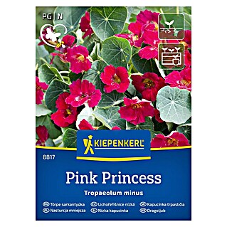 Kiepenkerl Cvetlična semena Mala kapucinka Pink Princess (Tropaeolum minus, Roza)