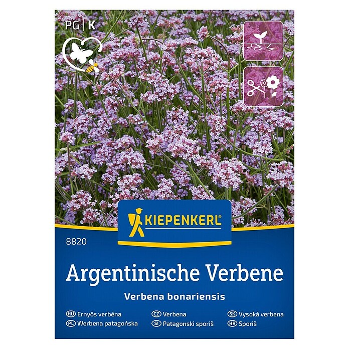 Kiepenkerl Cvetlična semena Patagonski sporiš  (Verbena bonariensis, Čas setve: Februar) | 8127 - Feinsämereien in PG Marke | IBYA - Sämereien | IBY - Sämereien | IB - Grünpflanzen/Sämereien | I - Stadtgarten | BAUHAUS