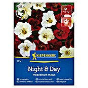Kiepenkerl Cvetlična semena Velika kapucinka Night & Day  (Tropaeolum majus, Rdeča, bela) | 8127 - Feinsämereien in PG Marke | IBYA - Sämereien | IBY - Sämereien | IB - Grünpflanzen/Sämereien | I - Stadtgarten | BAUHAUS