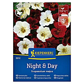 Kiepenkerl Cvetlična semena Velika kapucinka Night & Day (Tropaeolum majus, Rdeča, bela)