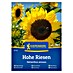 Kiepenkerl Cvetlična semena Sončnica Hohe Riesen 