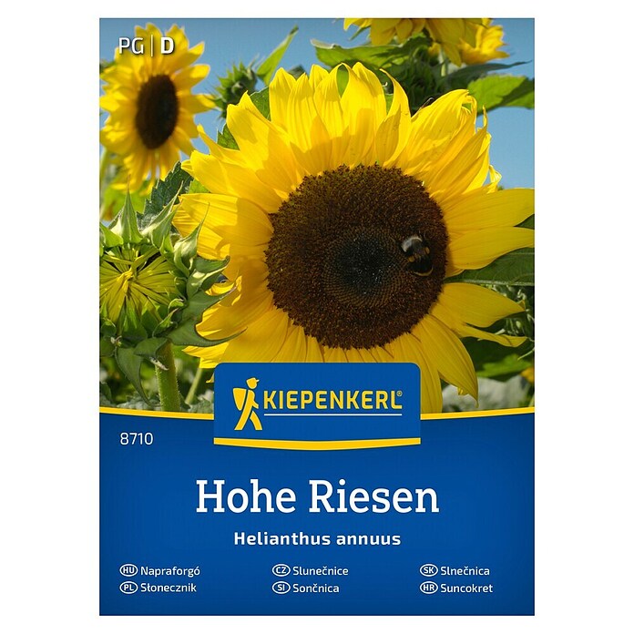 Kiepenkerl Cvetlična semena Sončnica Hohe Riesen  (Helianthus annuus, Rumena) | 8127 - Feinsämereien in PG Marke | IBYA - Sämereien | IBY - Sämereien | IB - Grünpflanzen/Sämereien | I - Stadtgarten | BAUHAUS