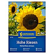 Kiepenkerl Cvetlična semena Sončnica Hohe Riesen  (Helianthus annuus, Rumena) | 8127 - Feinsämereien in PG Marke | IBYA - Sämereien | IBY - Sämereien | IB - Grünpflanzen/Sämereien | I - Stadtgarten | BAUHAUS